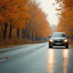 ТОП-5 порад для безпечного керування в жовтні: як підготувати авто до осінньої дороги